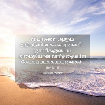 Picture 05 - பிரசங்கி 9:17 TAMIRV - மூடர்களை ஆளும் - Bible Verse Picture