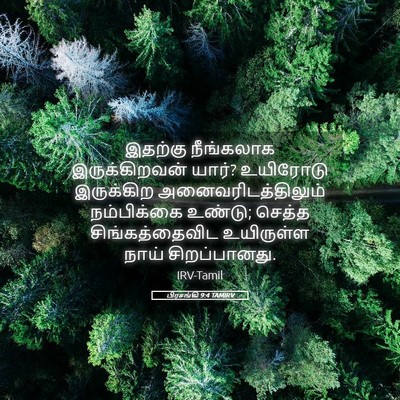 Picture 05 - பிரசங்கி 9:4 TAMIRV - இதற்கு நீங்கலாக - Bible Verse Picture