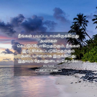 Picture 05 - பிலிப்பியர் 1:28 TAMIRV - நீங்கள் - Bible Verse Picture