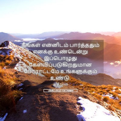 Picture 05 - பிலிப்பியர் 1:30 TAMIRV - நீங்கள் என்னிடம் - Bible Verse Picture