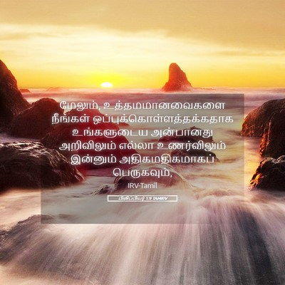 Picture 05 - பிலிப்பியர் 1:9 TAMIRV - மேலும், - Bible Verse Picture