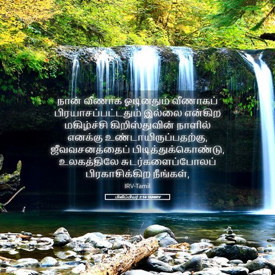 Picture 05 - பிலிப்பியர் 2:14 TAMIRV - நான் வீணாக - Bible Verse Picture