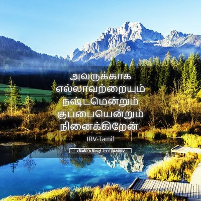 Picture 05 - பிலிப்பியர் 3:11 TAMIRV - அவருக்காக - Bible Verse Picture