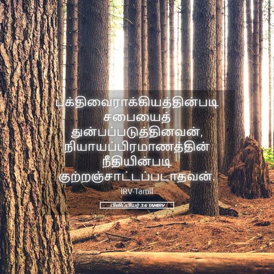Picture 05 - பிலிப்பியர் 3:6 TAMIRV -  - Bible Verse Picture