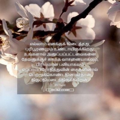 Picture 05 - பிலிப்பியர் 4:18 TAMIRV - எல்லாம் எனக்குக் - Bible Verse Picture