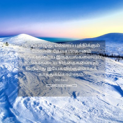 Picture 05 - பிலிப்பியர் 4:7 TAMIRV - அப்பொழுது, - Bible Verse Picture