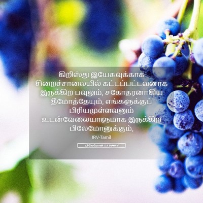 Picture 05 - பிலேமோன் 1:1 TAMIRV - கிறிஸ்து - Bible Verse Picture