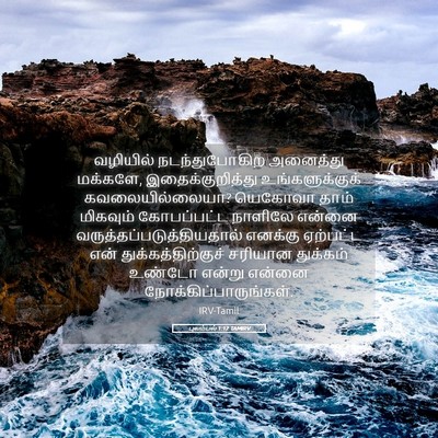 Picture 05 - புலம்பல் 1:12 TAMIRV - வழியில் - Bible Verse Picture