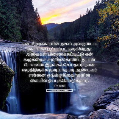 Picture 05 - புலம்பல் 1:14 TAMIRV - என் மீறுதல்களின் - Bible Verse Picture