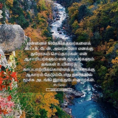 Picture 05 - புலம்பல் 1:19 TAMIRV - என்னைச் - Bible Verse Picture