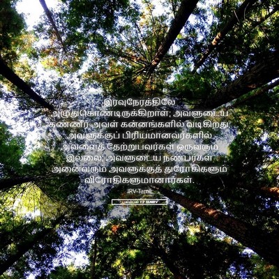 Picture 05 - புலம்பல் 1:2 TAMIRV - இரவுநேரத்திலே - Bible Verse Picture