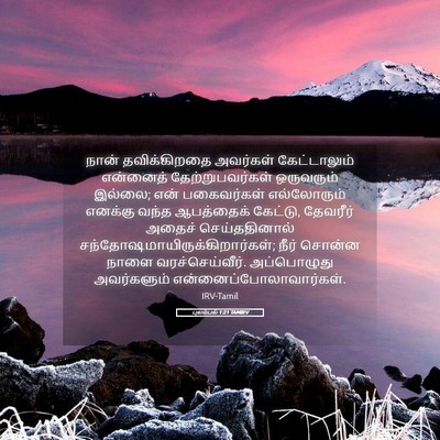 Picture 05 - புலம்பல் 1:21 TAMIRV - நான் தவிக்கிறதை - Bible Verse Picture