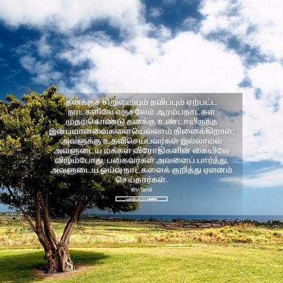 Picture 05 - புலம்பல் 1:7 TAMIRV - தனக்குச் - Bible Verse Picture