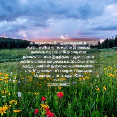 Picture 05 - புலம்பல் 1:9 TAMIRV - அவளுடைய தீட்டு - Bible Verse Picture