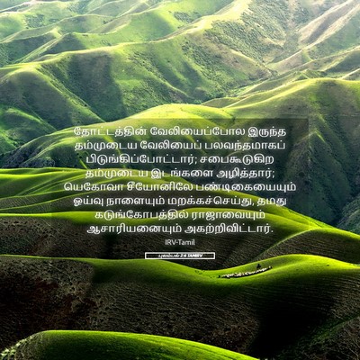 Picture 05 - புலம்பல் 2:6 TAMIRV - தோட்டத்தின் - Bible Verse Picture