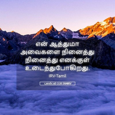 Picture 05 - புலம்பல் 3:20 TAMIRV - என் ஆத்துமா - Bible Verse Picture