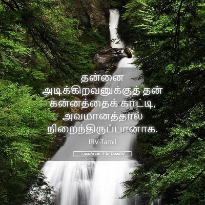 Picture 05 - புலம்பல் 3:30 TAMIRV - தன்னை - Bible Verse Picture