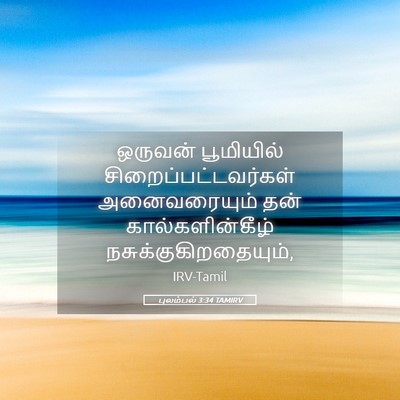 Picture 05 - புலம்பல் 3:34 TAMIRV - ஒருவன் பூமியில் - Bible Verse Picture