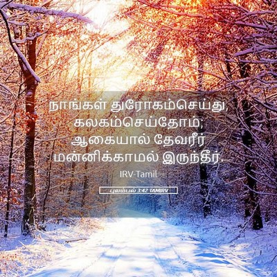 Picture 05 - புலம்பல் 3:42 TAMIRV - நாங்கள் - Bible Verse Picture