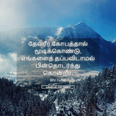 Picture 05 - புலம்பல் 3:43 TAMIRV - தேவரீர் கோபத்தால் - Bible Verse Picture