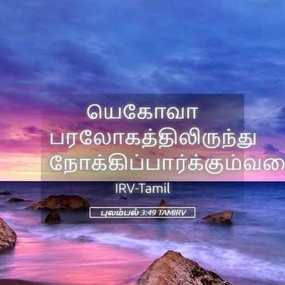 Picture 05 - புலம்பல் 3:49 TAMIRV - யெகோவா - Bible Verse Picture