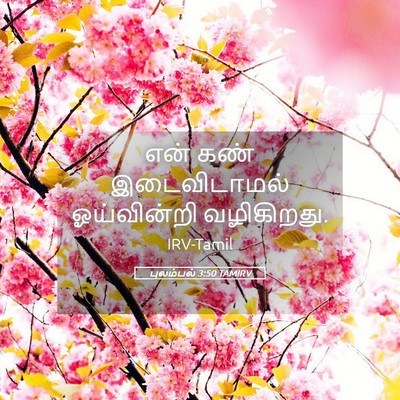 Picture 05 - புலம்பல் 3:50 TAMIRV - என் கண் - Bible Verse Picture