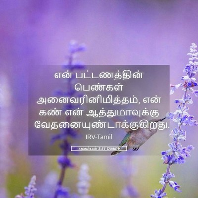 Picture 05 - புலம்பல் 3:51 TAMIRV - என் பட்டணத்தின் - Bible Verse Picture