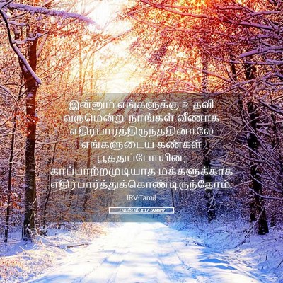 Picture 05 - புலம்பல் 4:17 TAMIRV - இன்னும் - Bible Verse Picture