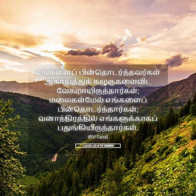 Picture 05 - புலம்பல் 4:19 TAMIRV - எங்களைப் - Bible Verse Picture