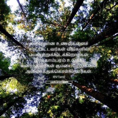 Picture 05 - புலம்பல் 4:5 TAMIRV - சுவையான உணவுகளைச் - Bible Verse Picture