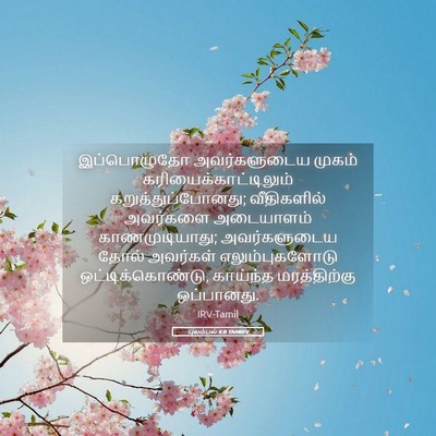 Picture 05 - புலம்பல் 4:8 TAMIRV - இப்பொழுதோ - Bible Verse Picture