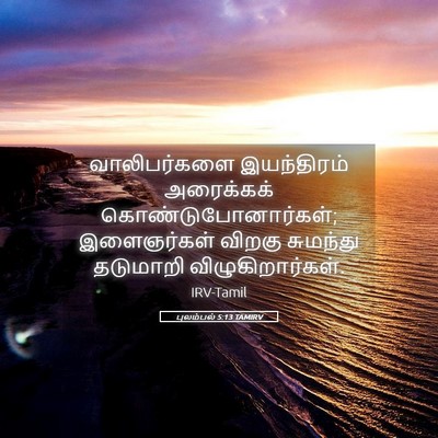 Picture 05 - புலம்பல் 5:13 TAMIRV - வாலிபர்களை - Bible Verse Picture