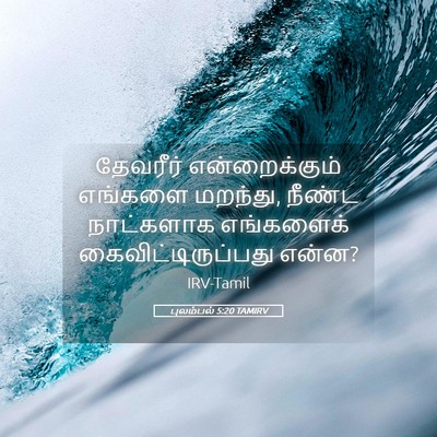 Picture 05 - புலம்பல் 5:20 TAMIRV - தேவரீர் - Bible Verse Picture