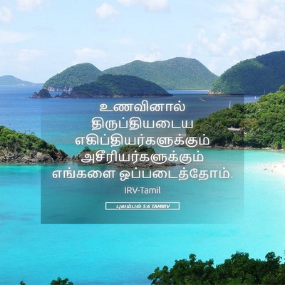 Picture 05 - புலம்பல் 5:6 TAMIRV - உணவினால் - Bible Verse Picture