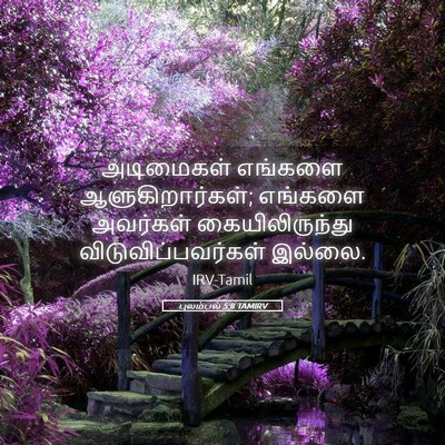 Picture 05 - புலம்பல் 5:8 TAMIRV - அடிமைகள் எங்களை - Bible Verse Picture