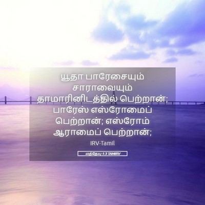 Picture 05 - மத்தேயு 1:3 TAMIRV - யூதா பாரேசையும் - Bible Verse Picture