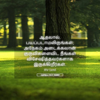 Picture 05 - மத்தேயு 10:31 TAMIRV - ஆதலால், - Bible Verse Picture