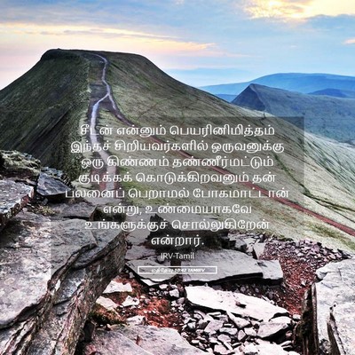 Picture 05 - மத்தேயு 10:42 TAMIRV - சீடன் என்னும் - Bible Verse Picture