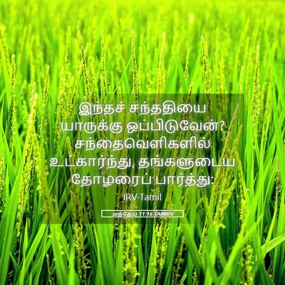 Picture 05 - மத்தேயு 11:16 TAMIRV - இந்தச் சந்ததியை - Bible Verse Picture