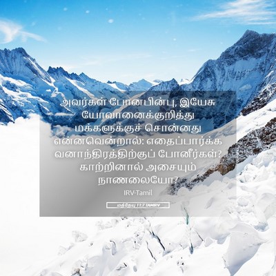 Picture 05 - மத்தேயு 11:7 TAMIRV - அவர்கள் - Bible Verse Picture