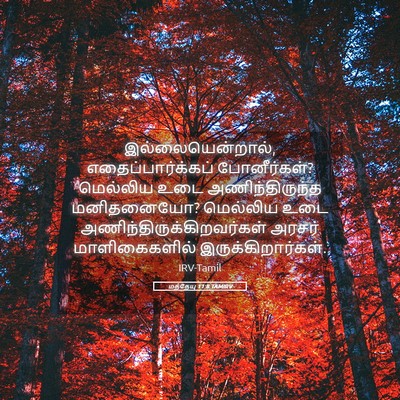 Picture 05 - மத்தேயு 11:8 TAMIRV - இல்லையென்றால், - Bible Verse Picture
