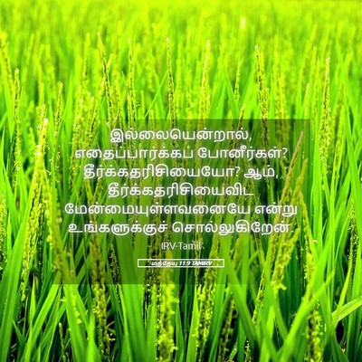 Picture 05 - மத்தேயு 11:9 TAMIRV - இல்லையென்றால், - Bible Verse Picture