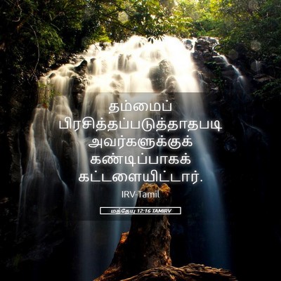 Picture 05 - மத்தேயு 12:16 TAMIRV - தம்மைப் - Bible Verse Picture