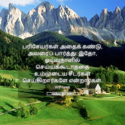 Picture 05 - மத்தேயு 12:2 TAMIRV - பரிசேயர்கள் அதைக் - Bible Verse Picture