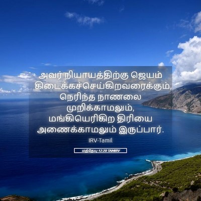 Picture 05 - மத்தேயு 12:20 TAMIRV - அவர் - Bible Verse Picture