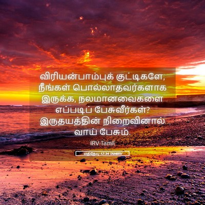Picture 05 - மத்தேயு 12:34 TAMIRV - விரியன்பாம்புக் - Bible Verse Picture