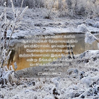 Picture 05 - மத்தேயு 12:5 TAMIRV - அன்றியும், - Bible Verse Picture