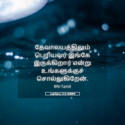 Picture 05 - மத்தேயு 12:6 TAMIRV - தேவாலயத்திலும் - Bible Verse Picture