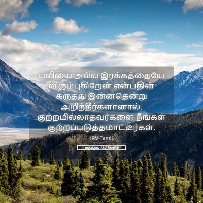 Picture 05 - மத்தேயு 12:7 TAMIRV - பலியை அல்ல - Bible Verse Picture