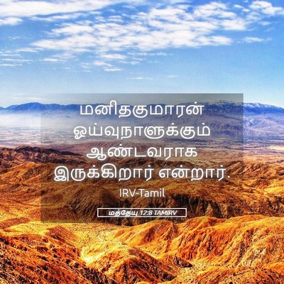 Picture 05 - மத்தேயு 12:8 TAMIRV - மனிதகுமாரன் - Bible Verse Picture